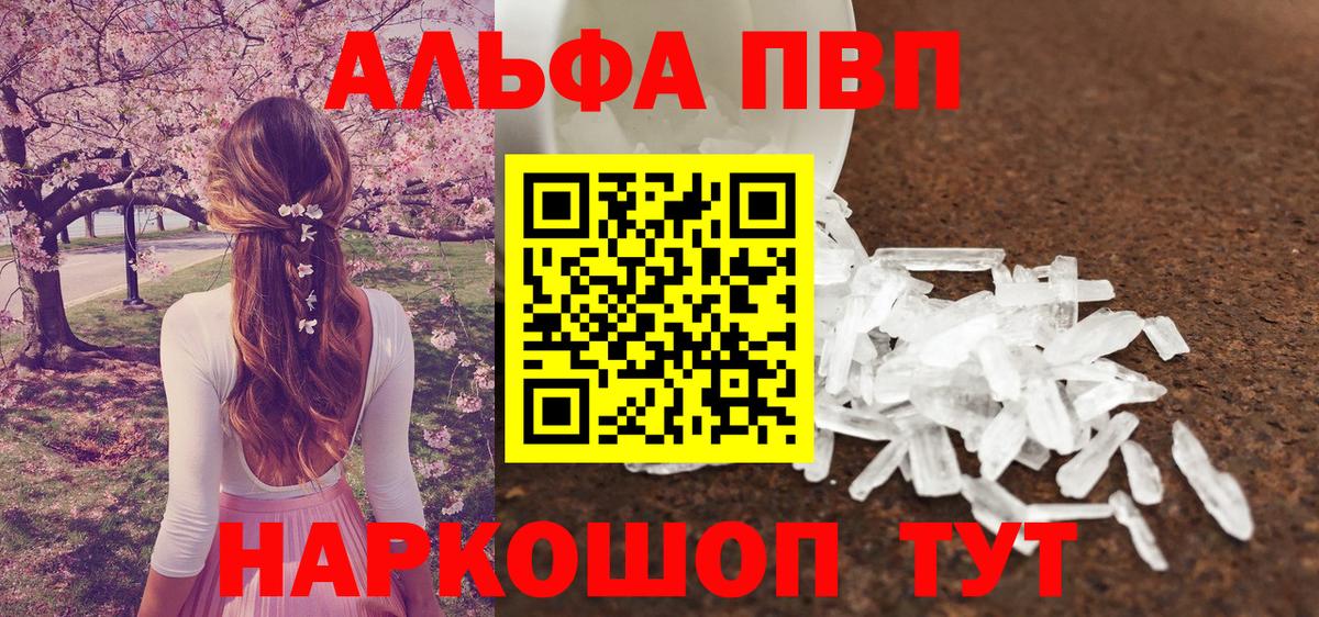 Alfa_PVP СК КРИС Можга