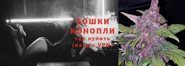 сатива Вяземский