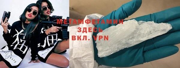 сатива Вяземский