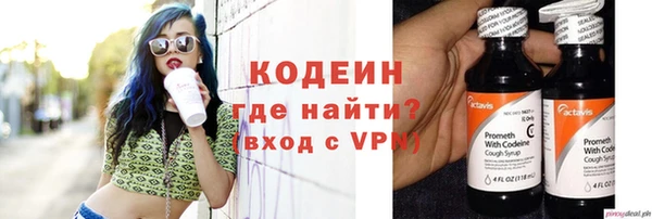 сатива Вяземский