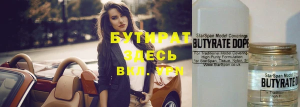 сатива Вяземский