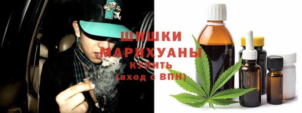 сатива Вяземский