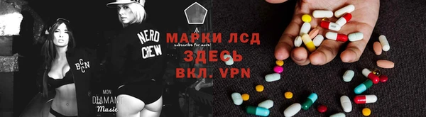 сатива Вяземский