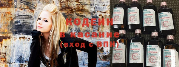 сатива Вяземский