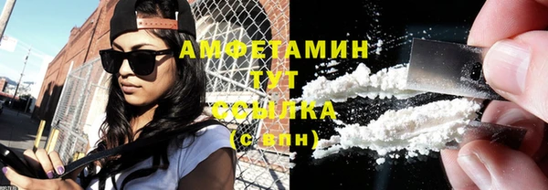 сатива Вяземский