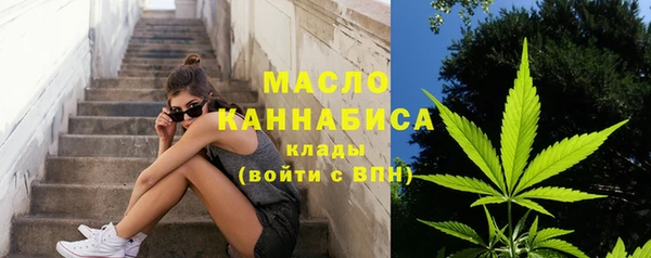 сатива Вяземский