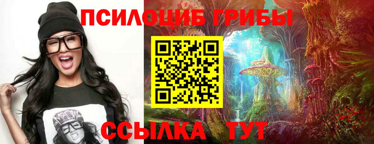 Галлюциногенные грибы MAGIC MUSHROOMS  как найти наркотики  Галлюциногенные грибы мицелий  Можга  Вход с VPN 