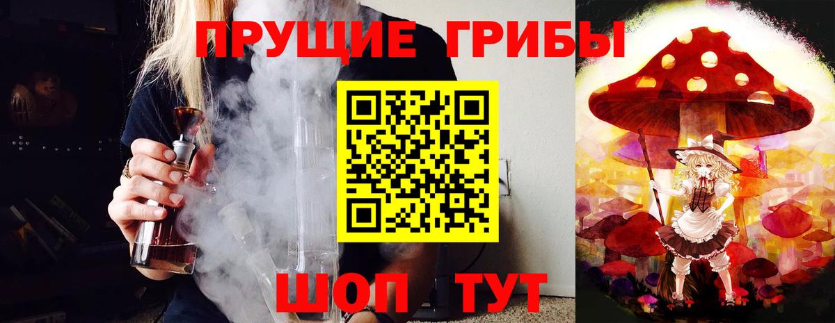 Галлюциногенные грибы Psilocybine cubensis Можга