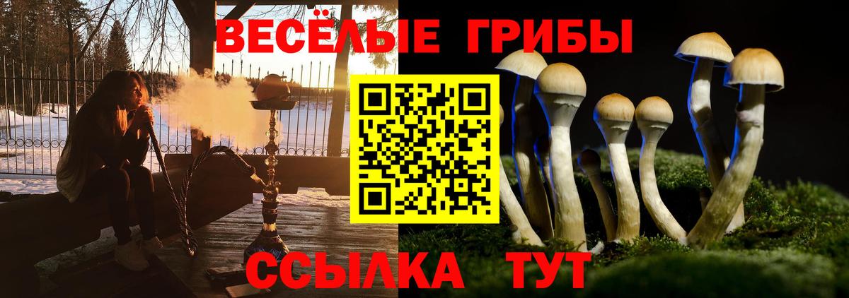 Галлюциногенные грибы Magic Shrooms Можга