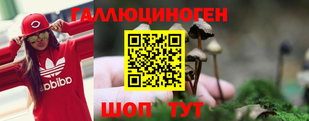 Псилоцибиновые грибы Magic Shrooms  Можга  Псилоцибиновые грибы Cubensis 