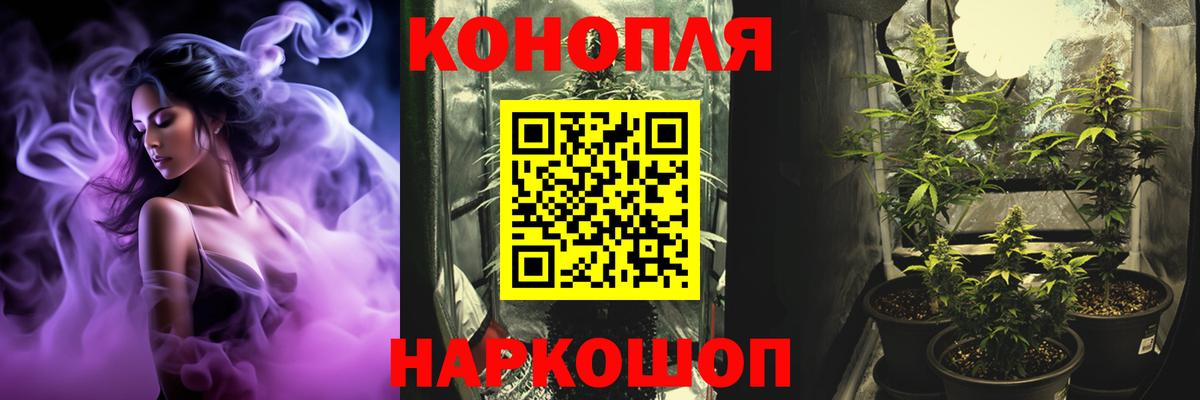 Каннабис MAZAR  Марихуана MAZAR  Можга  Каннабис LSD WEED 