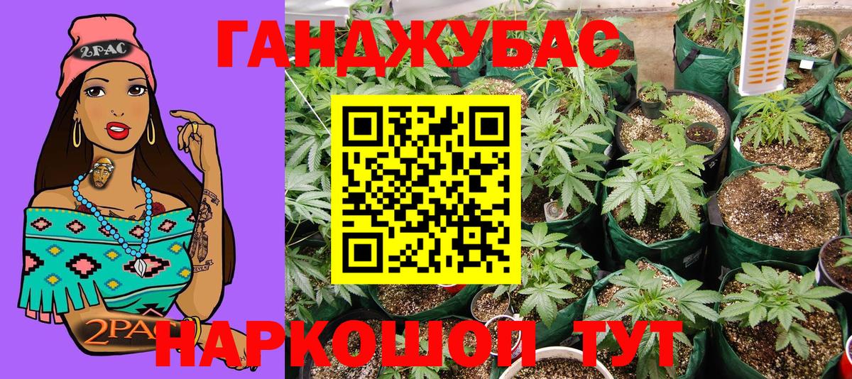 Шишки марихуана OG Kush Можга